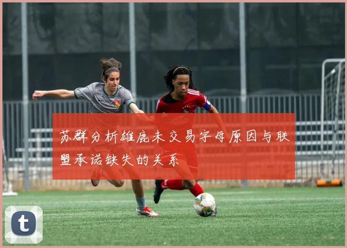 苏群分析雄鹿未交易字母原因与联盟承诺缺失的关系