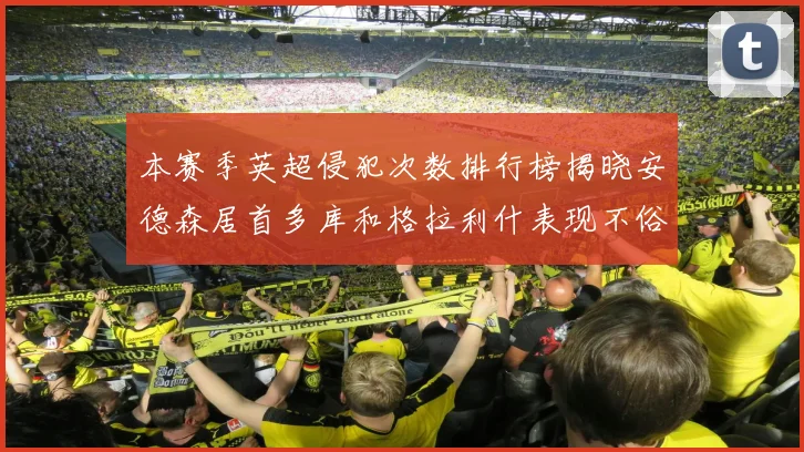 本赛季英超侵犯次数排行榜揭晓安德森居首多库和格拉利什表现不俗